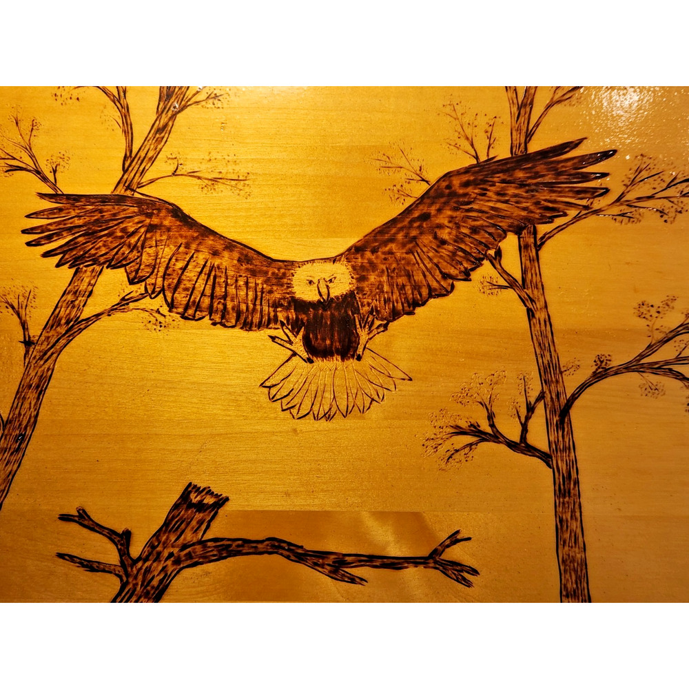 Pyrography American Folk Art Carved Bald Eagle Wood Wall Plaque Signed